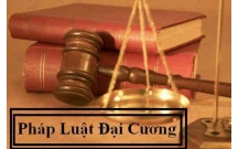 Tổng quan pháp luật