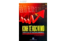 Kinh tế vi mô tổng hợp