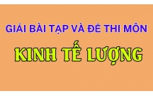 ĐỀ THI KINH TẾ LƯỢNG