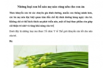 THỰC PHẨM TỐT CHO NÃO BỘ CỦA TRẺ