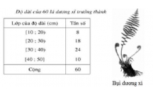 Giả bài tập Toán 10 (Đại số)Bảng phân bố tần số và tần suất