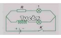 KIẾN THỨC CẦN NHỚ VÀ GIẢI BÀI TẬP VẬT LÝ LỚP 11: TỰ CẢM