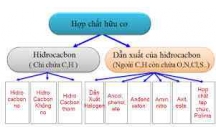 Tóm tắt kiến thức cơ bản và Giải bài tập Hóa học lớp 11: Mở đầu về hóa học hữu cơ