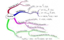 Tóm tắt kiến thức cơ bản và Giải bài tập Hóa học lớp 11: Photpho