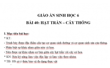 TOÁN LỚP 6 THỨ TỰ TRONG TẬP HỢP  CÁC SỐ NGUYÊN TIẾT 2