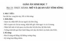 TÌM HIỂU VỀ TÔM SÔNG