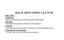 CÔNG NGHỆ : Chọn phối