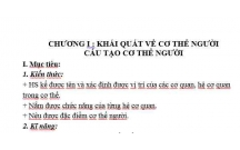 SINH HỌC : Các phần cơ thể người