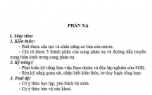 SINH HỌC : Cấu tạo và chức năng của nơron