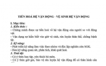 SINH HỌC :Sự tiến hoá hệ cơ người so với hệ cơ thú