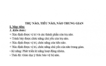 SINH HỌC : Vị trí và các thành phần của não bộ