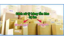 Xử lý hàng tồn kho bị âm trên sổ sách và âm thực tế trên kho