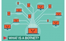 Lịch sử, mục đích của tấn công DoS- Giới thiệu về Bot và Botnet