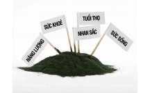 Sử dụng một số phương pháp khác nhau nhằm tăng sinh khối tảo SPIRULINA PLATENSIS mà vẫn giữ được chất lượng tốt