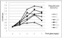 Tạo chủng Rhodococcus opacus B4 có biểu hiện của enzyme n- alkane monooxygenase tăng so với dòng chưa biến nạp, bằng cách tạo plasmid chứa gene alkB1/alkB2 rồi chuyển plasmid đó vào R. opacus B4