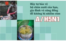 Ứng dụng kháng thể kháng ovalbumin tinh chế định lượng ovalbumin trong các mẫu vacxin cúm A/H5N1 bằng phương pháp ELISA và phương pháp điện di miễn dịch đối lưu