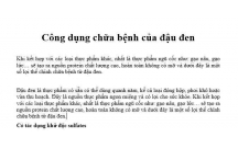 Công dụng của đậu đen