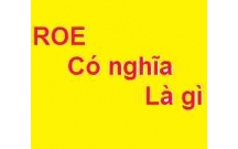 ROE là gì