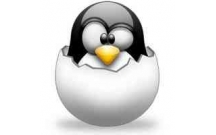 Xử lý sự cố máy chủ Linux