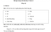 Bài tập ôn tập cuối tuần lớp 3: Tuần 13