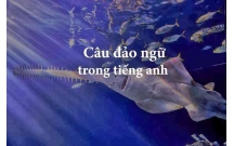 Câu đảo ngữ trong tiếng anh