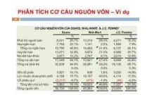 Phântíchcơ cấu nguồn vốn và tài sản